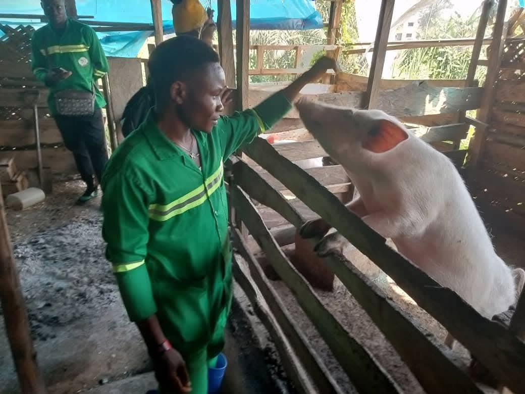 Agro-Pastoral Workplace