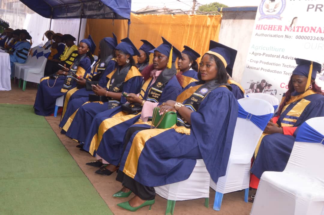 Scholarship at IFAMTECH